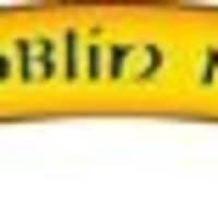 Hobgoblin Music, Birmingham | Musical Instrument Shops - Yell