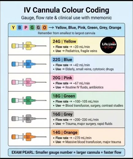 🏥⚕️💉IV CANNULA COLOUR CODING EXPLAINED | MEDICAL GUIDE FOR STUDENTS & NURSES 💉🚑🩺🏥⚕️#reels #video 🏥⚕️