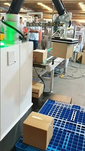 Using Robot Palletizer to Build Warehouse Automation, Efficiency!!