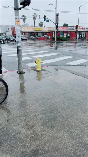 Discover the LIVE Incentive Program for the New Year