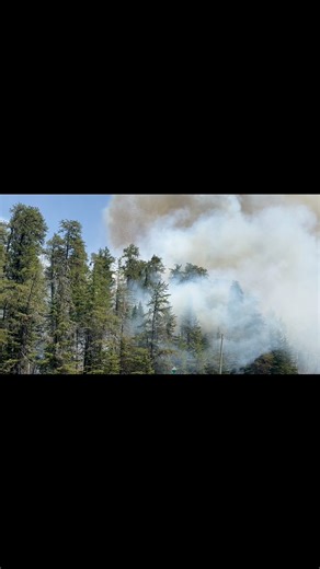 630K views · 4.5K reactions | Firefighters and water bombers are currently battling an out of control forest fire in the area of Highway 121 and County Rd 49 in Kawartha Lakes that’s burned over 5 hectares so far. Please be safe and be sure to follow your local fire bans. | Peterborough Scanner Feed | Facebook