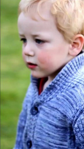 Cassowary Attack: Are Cassowaries Dangerous to Humans?