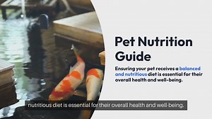 Pet Nutrition Guide