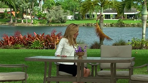 Acorralada Capitulo 108