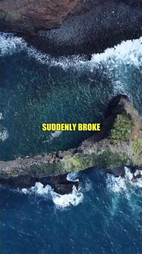 This animal *INSTINCT* could save your life