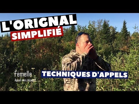 Simplified Moose: Calls to Use! What, When, and Why to Call | Pierre’s Adventures