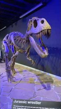 Mesalands Dinosaur Museum