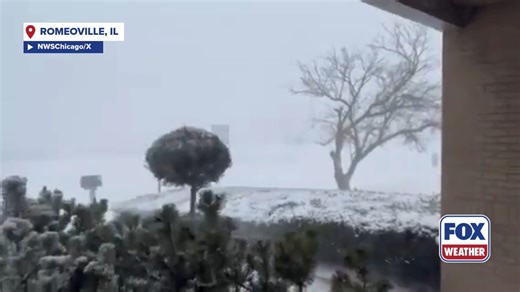 ❄️SNOW SQUALL: Snow Squall Warnings were issued in Illinois, as a line of intense storms brought whiteout conditions and travel delays to parts of Chicago through Central Illinois. The lake-effect snow machine will crank up later Wednesday across Lake Michigan. Forecast details: https://www.foxweather.com/weather-news/winter-storm-threatens-heavy-snow-far-south-tennessee-carolinas | FOX Weather