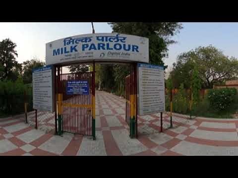 Immersive 360° Tour: Explore the Milk Parlour at NDRI Karnal | Virtual Dairy Experience #360biznus