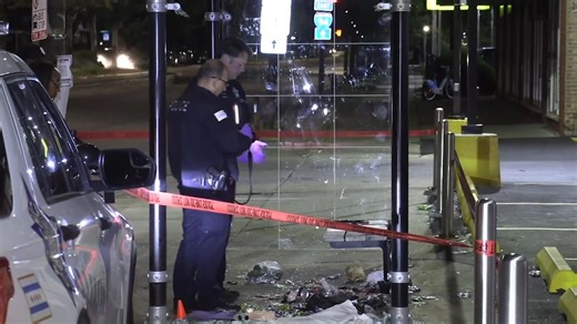 A 70-year-old man was beaten to death on the South Side Monday night, Chicago police said. | ABC 7 Chicago