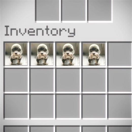 Comfort Crisis: PDF Insights