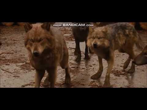 Twilight Wolves- Umbrella (Nightcore Version+ Rihanna)