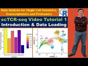 scTCR_seq Video Tutorial 1: Introduction and Data Loading