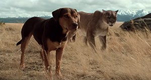 'A Dog's Way Home' Review: The Dog Survives, Your Heart Won't (And F**k This Movie)