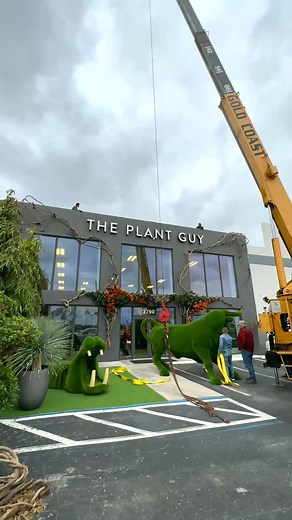 GOING UP GOING UP 🟢 Don’t need an army when you got THE PLANT GUY TEAM. Our BULL is finally up. What do you guys think ? #teamwork #turfanimals #sculptures #design #exclusive #uvtolerant #highquality #modern #art #decor #plants #elegant #bull