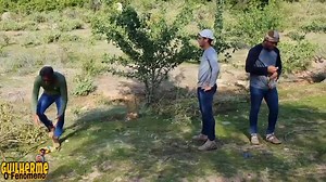 Bird Capture and Release in a Natural Setting