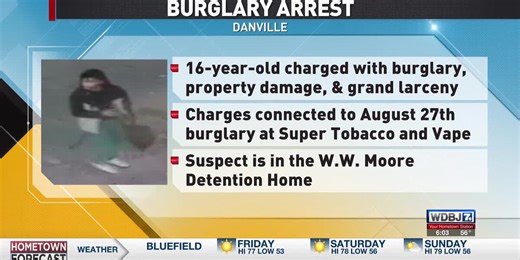 Teen Arrested After Danville PD Releases Burglary Surveillance Photos