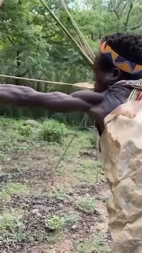 Tiger on a Tree Trunk — A Tense Situation Began 🐅 पेड़ के तने पर बाघ — शुरू हुई तनावपूर्ण स्थिति 🏹✨