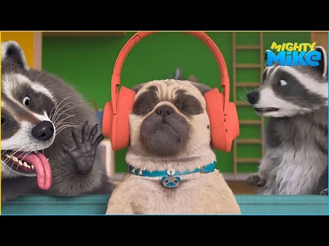 Pug vs racoons | Mighty Mike | 45' Compilation | Cartoon for Kids