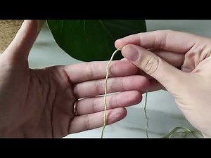 Punti base uncinetto e cerchio magico per principianti | Crochet start and magic ring for Beginners