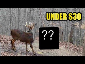 DIY Gravity Feeder that Big Bucks Will Actually Use!