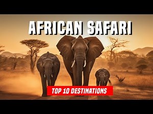 Top 10 African Safari Destinations
