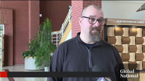 Canadian tree seeds head to moon on Artemis II mission