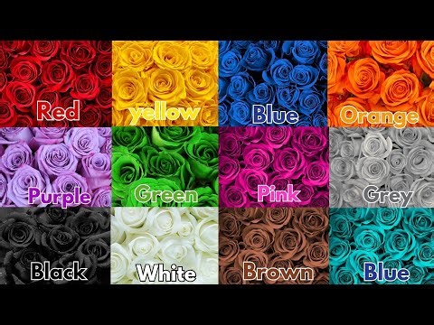 We Love All the Colors|Red , Blue ,pink Colors |Nursery Rhymes for Kids|#Nursery Rhymes #kidsvideos