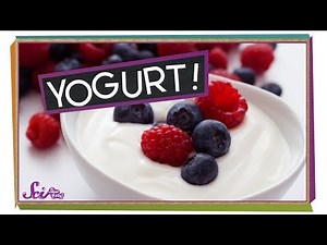 Where Does Yogurt Come From?