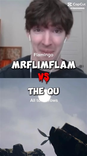 Mrflimflam vs The Qu (Flamingo edit)