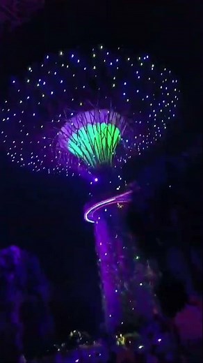 Gazing at Supertrees, Gardens by the Bay, Singapore, Intrepid Travel from James ✨