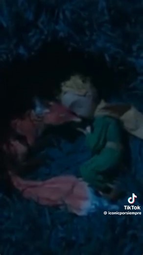 Lo que es es escencial es invisible a los ojos #Elprincipito @iconicporsiempre | El Cursor