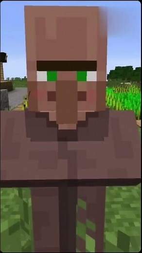 Villager sound loud #minecraft #memes