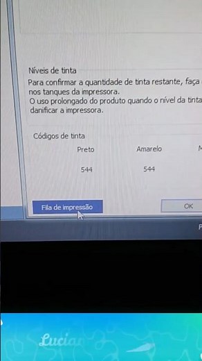 The Adjustment program freezes exactly when it performs the "Check" function during the Epson res...