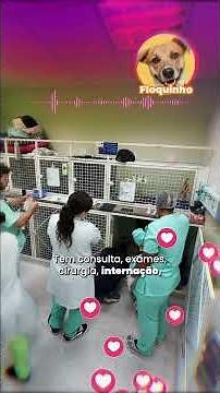 24-hour veterinary medical care for dogs and cats.