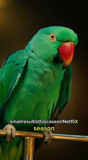 Officer reading a thick file. Parrot: “Big file… big tension… small result.” “Is this case or