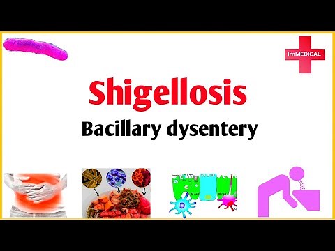 Shigellosis-bacillary dysentery:etiology,pathogenesis, clinical manifestations,diagnosis, treatment