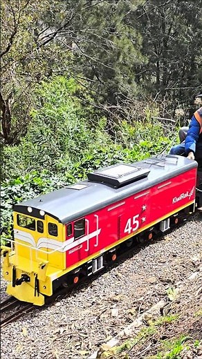 71/4 EO 45 hauling the IA wagons around Keirunga Park Railway