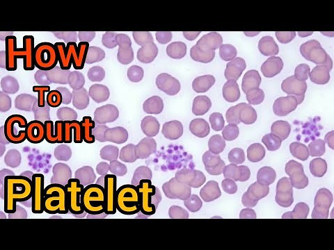 How To Platelet Count In PBS Smear|| Easy Method Of Plt Count|| Blood Slide || Gaint Platelet