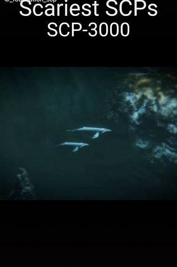 SCP-3000: Caught on Camera and Its Existence