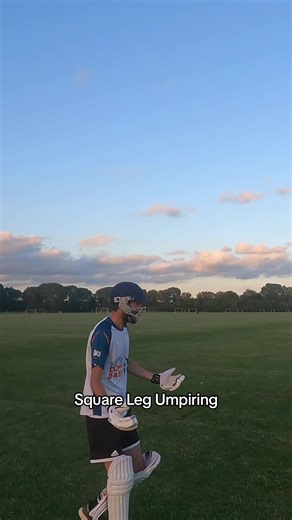 Diamond Duck in Cricket: A Humorous Commentary