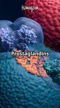 Understanding Dysmenorrhea: A guide for women