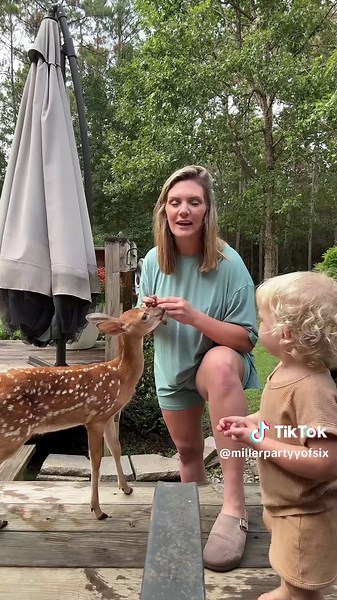 Retractable Hose for Effortless Gardening