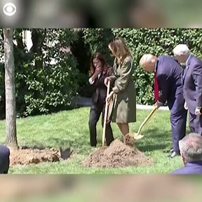 6.1K views · 126 reactions | President Trump, the first lady, Vice President Pence, and his wife helped plant a maple tree at the White House Wednesday for Earth Day and upcoming Arbor Day. The president said: "In this time of trial, the beauty of springtime fills us with the peace and hope of renewal."  | Atlanta News First | Facebook