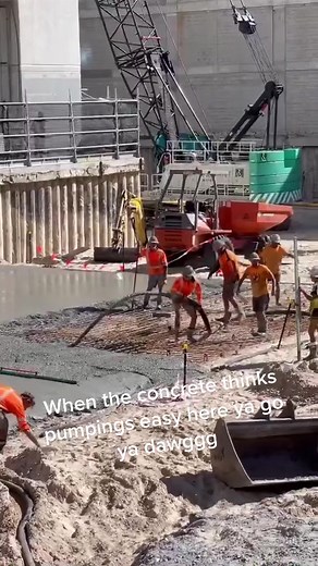 Pumpy Life: Thriving in the Concrete Jungle