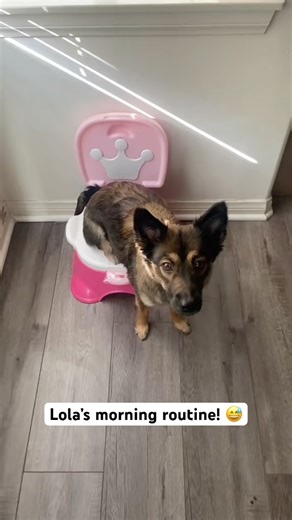 Lola LOVES her Princess Potty!