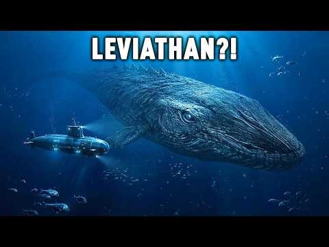 Lake Baikal’s Deepest Zones Are Alive With Alien-Like Creatures