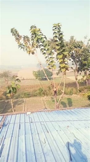 dil dar gori kl pyar gori tni neena milal tak hmare horiy