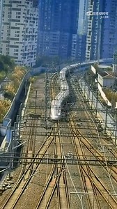 4.1K views · 177 reactions | Looks like a snake! A netizen captured the moment of a high-speed train switching tracks smoothly in SW China's #Chongqing. | China News 中国新闻网 | Facebook