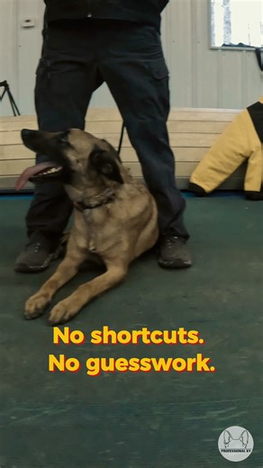 What does professional dog training really look like? 🐾 It’s not just commands — it’s understanding your dog, building clear communication, and practicing in real-life situations. Professional training focuses on consistency, reliability, and creating a stronger bond between you and your dog. Every dog is unique, so every plan is personalized to meet your dog where they are — and help them reach their full potential. 📩 Ready to see what your dog is capable of? Message us today and start a prof